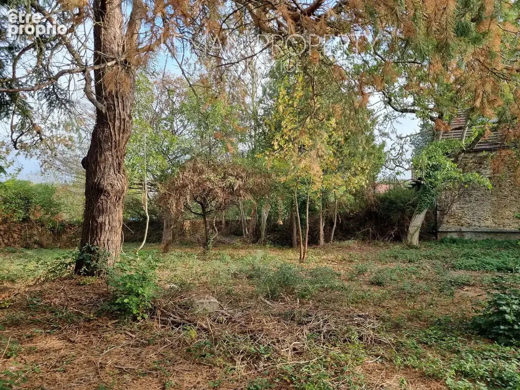 Magnifique terrain constructible à Janvry - photo 3