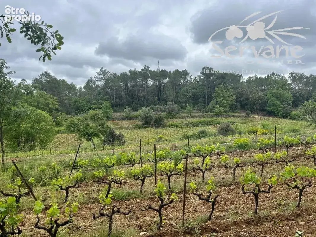 Domaine viticole proche cotignac a vendre - photo 12