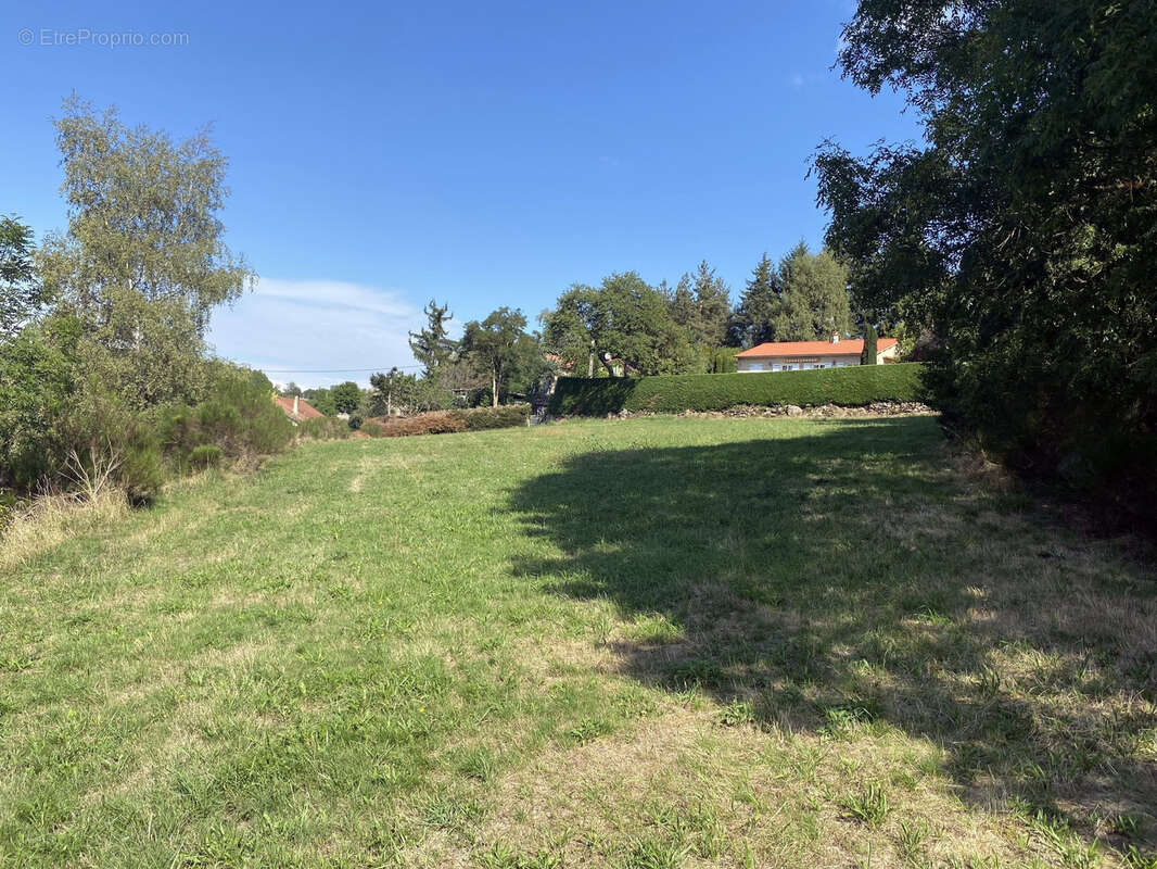 Terrain à CRAPONNE-SUR-ARZON