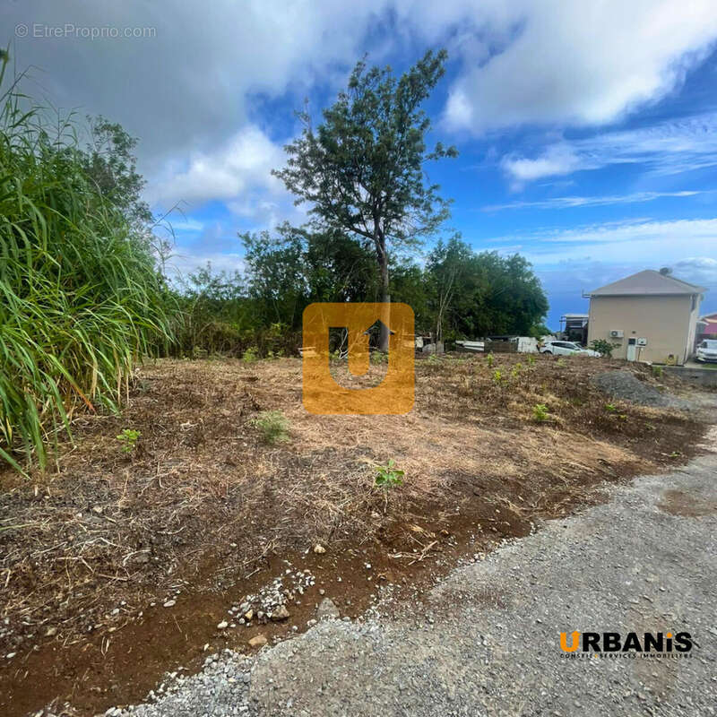 Terrain à LES TROIS-BASSINS