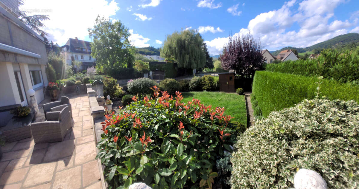 Appartement à MUNSTER