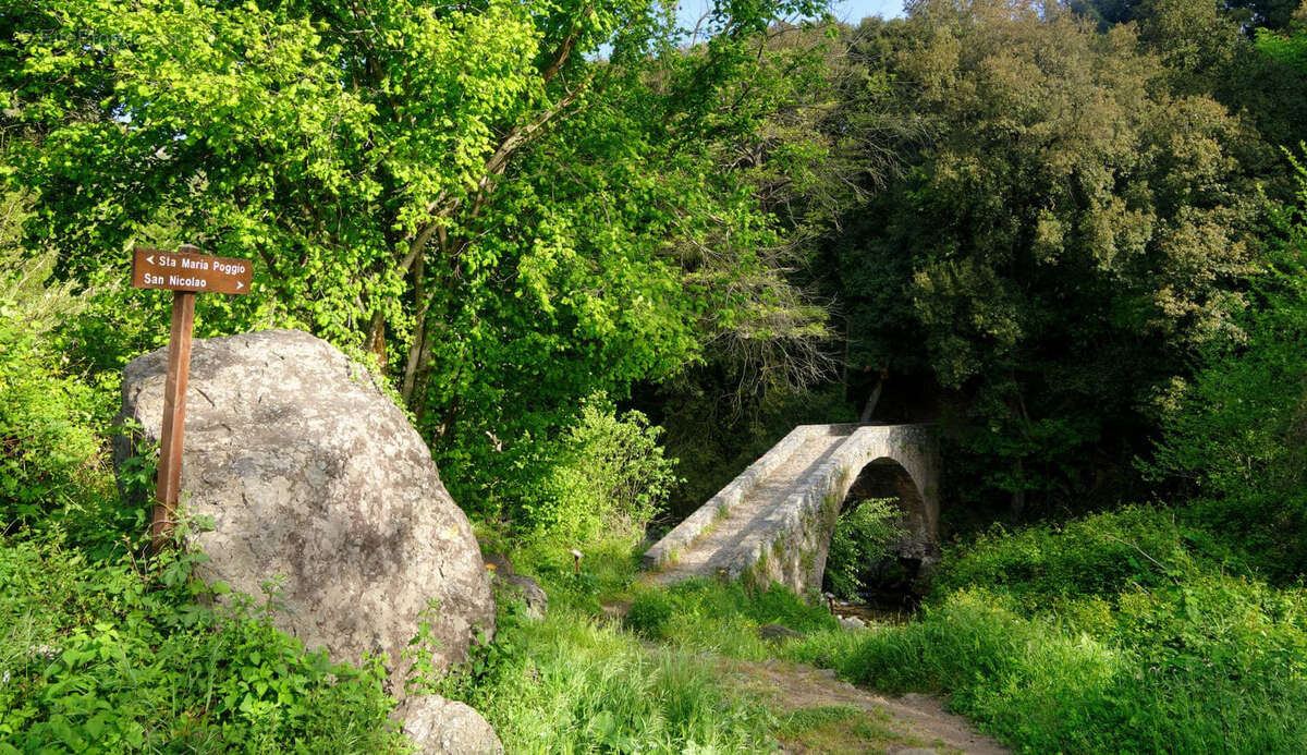 Appartement à SAN-NICOLAO