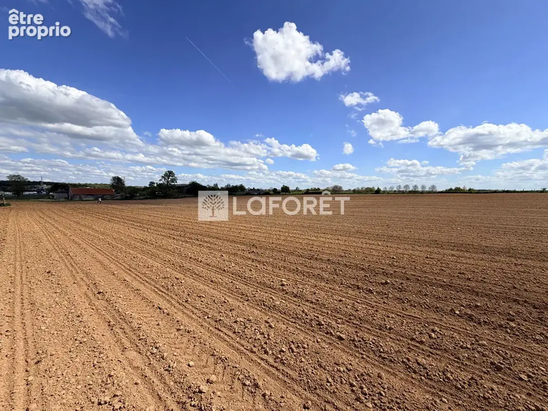 Maison Ceffonds - photo 15