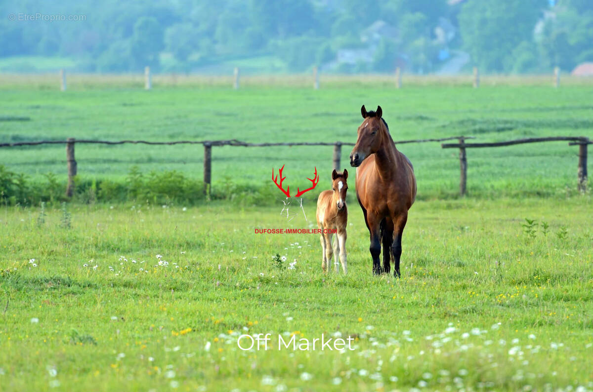 Maison à BOURG-EN-BRESSE