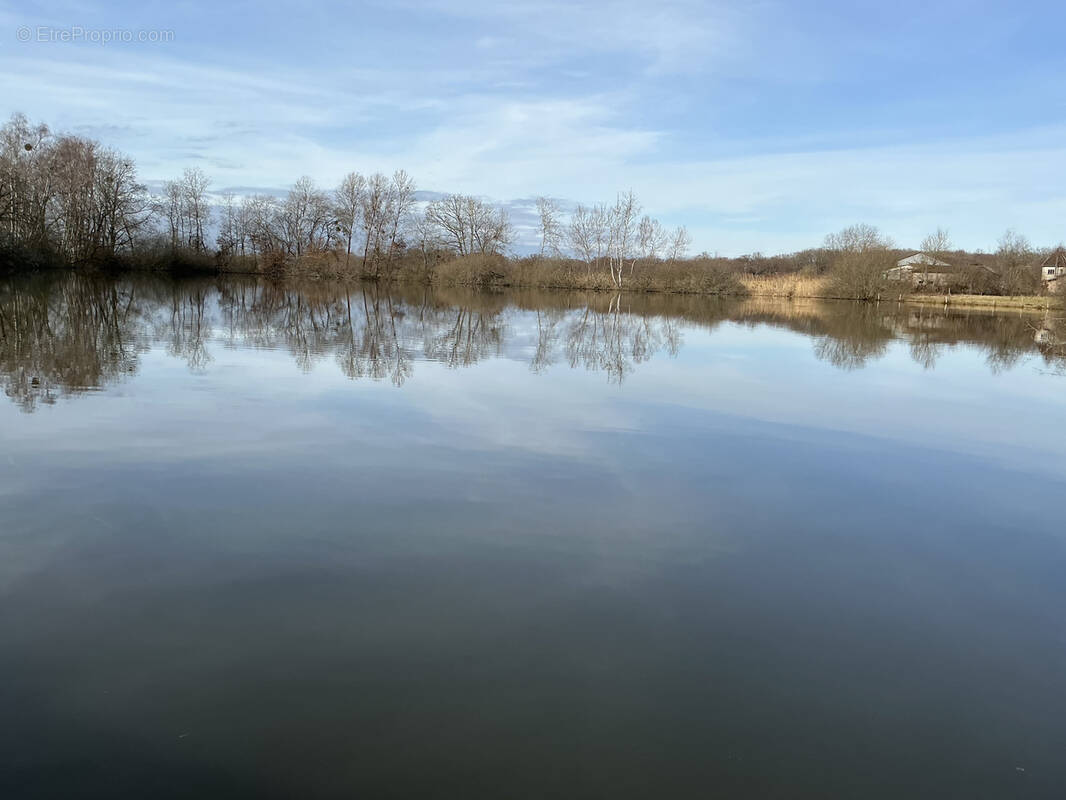 Terrain à MAGNIVRAY