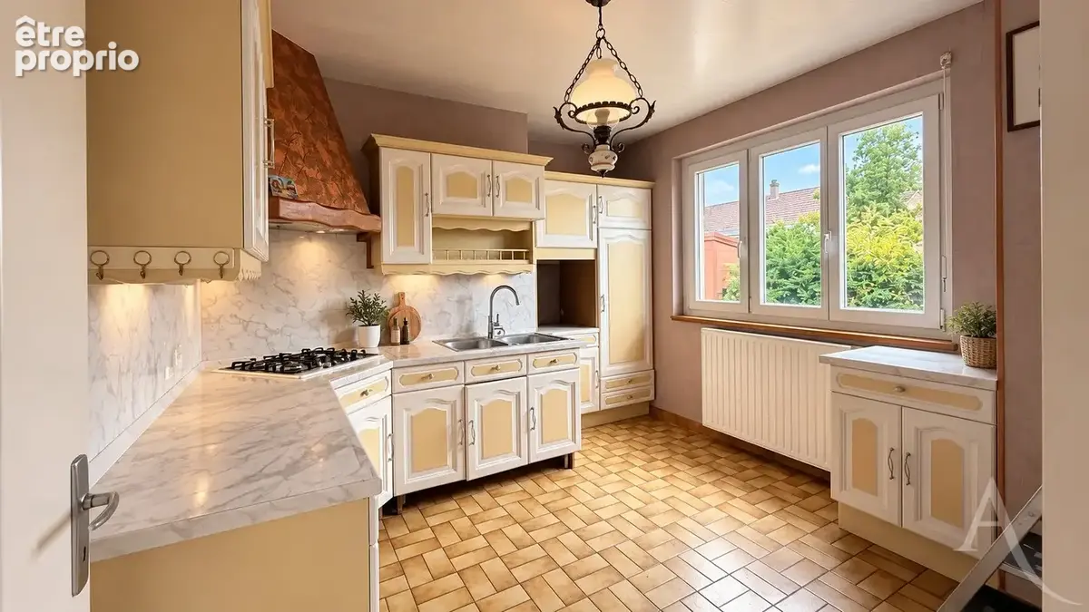 Maison Individuelle Dombasle Sur Meurthe 6 pièce(s) 117 m² et 162 m² au sol - photo 4