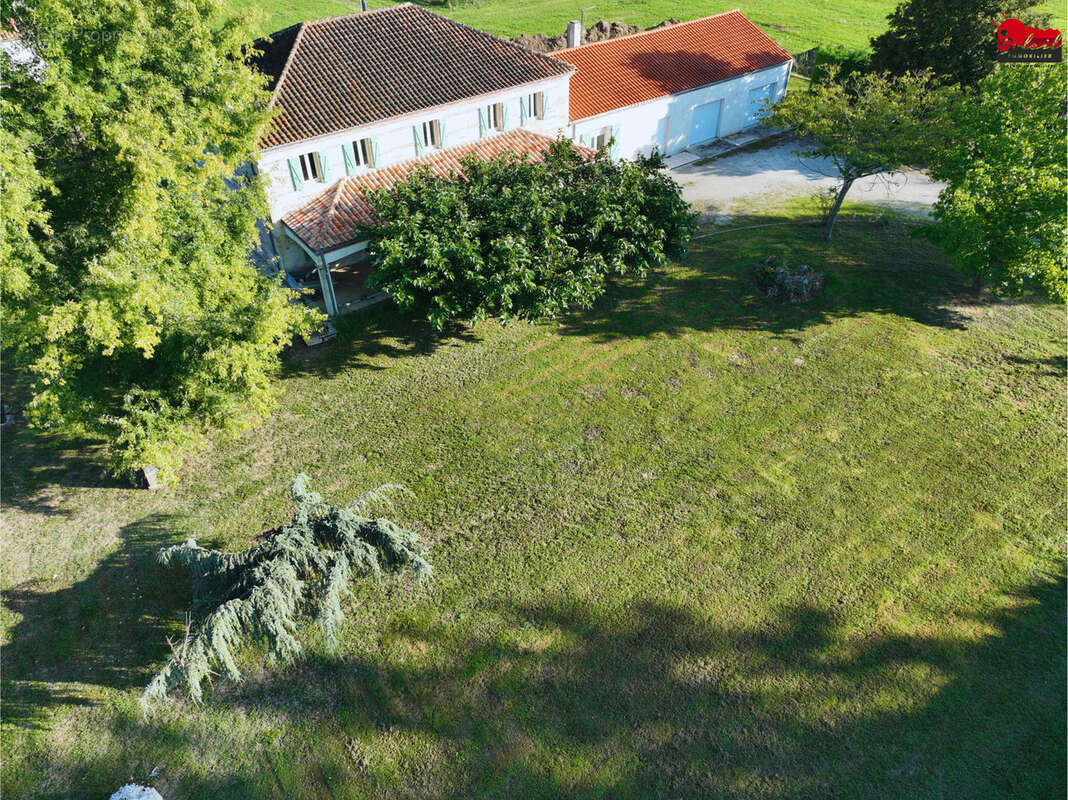 Maison à SAINTE-LIVRADE-SUR-LOT