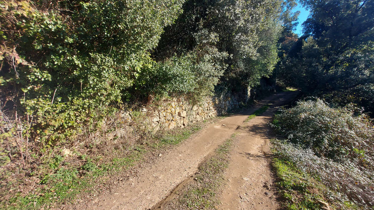 Terrain à VICO