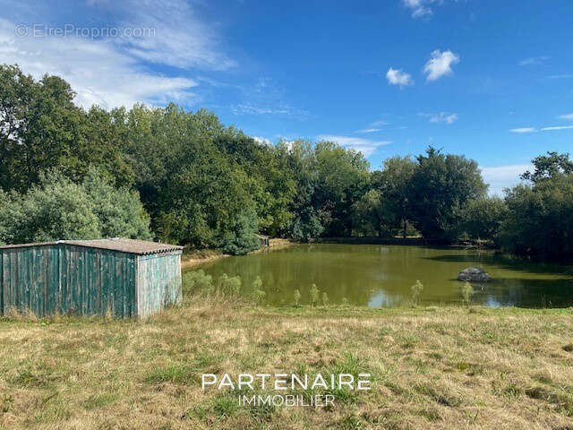 Terrain à AVRILLE