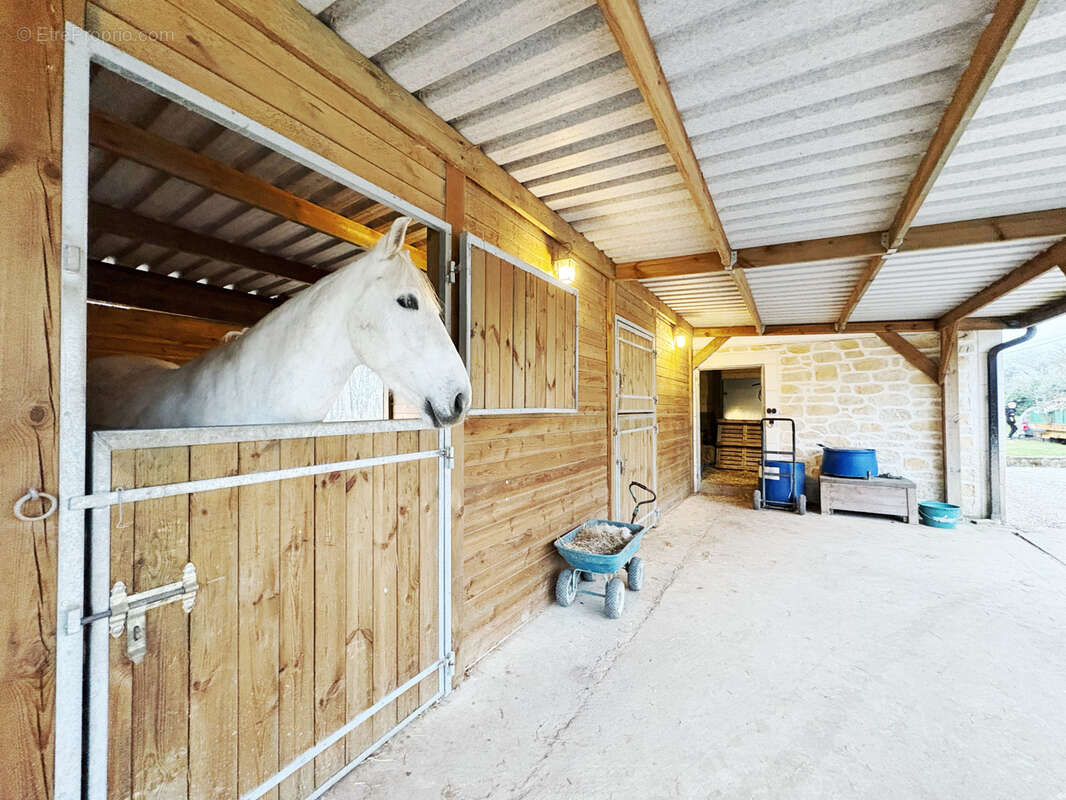 Maison à LONGUEVILLE