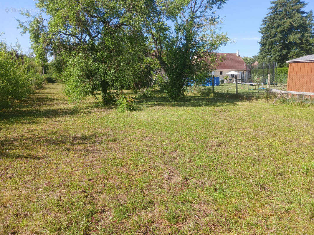 Terrain à PUISEAUX