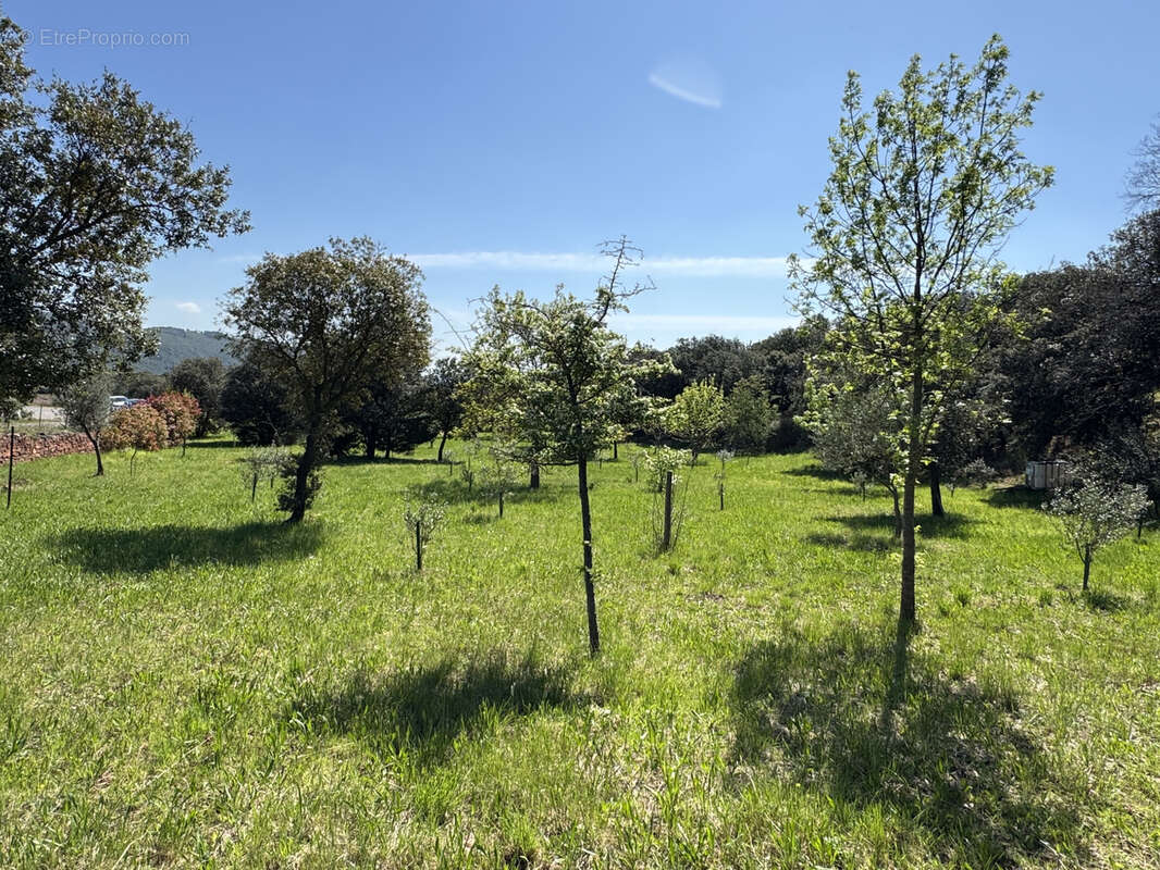 Terrain à SAINT-JEAN-DE-LA-BLAQUIERE