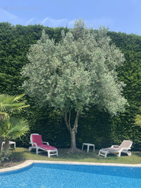 Maison à VAISON-LA-ROMAINE