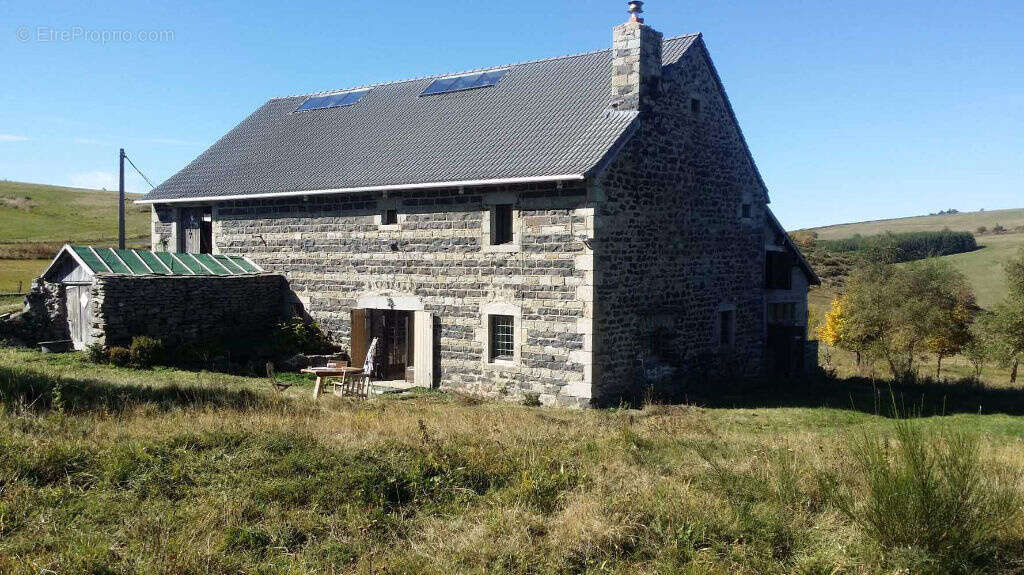 Ferme authentique - au pied du domaine de ski nordique - source - 2ha de terrain plat  - bon accès - photo 2