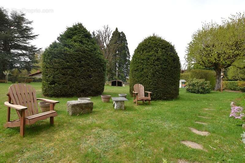 85 m² - maison de caractère - St Genest Malifaux - parc exceptionnel - photo 14