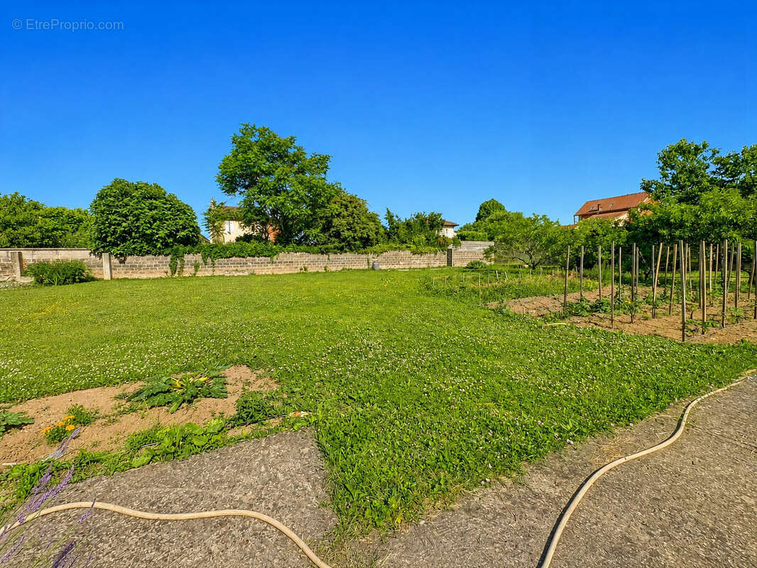 Terrain 630 m² à Villefranche-Sur-Saone  - photo 2