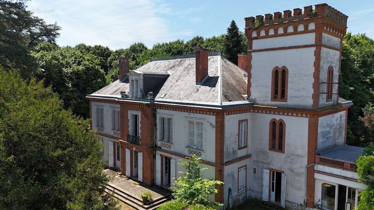 Château de caractère avec orangerie & potentiel évènementiel - Saint-Nauphary, à 10 min de Montauban et 50 min de Toulouse - photo 14