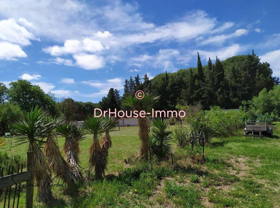 Maison à AIGUES-MORTES