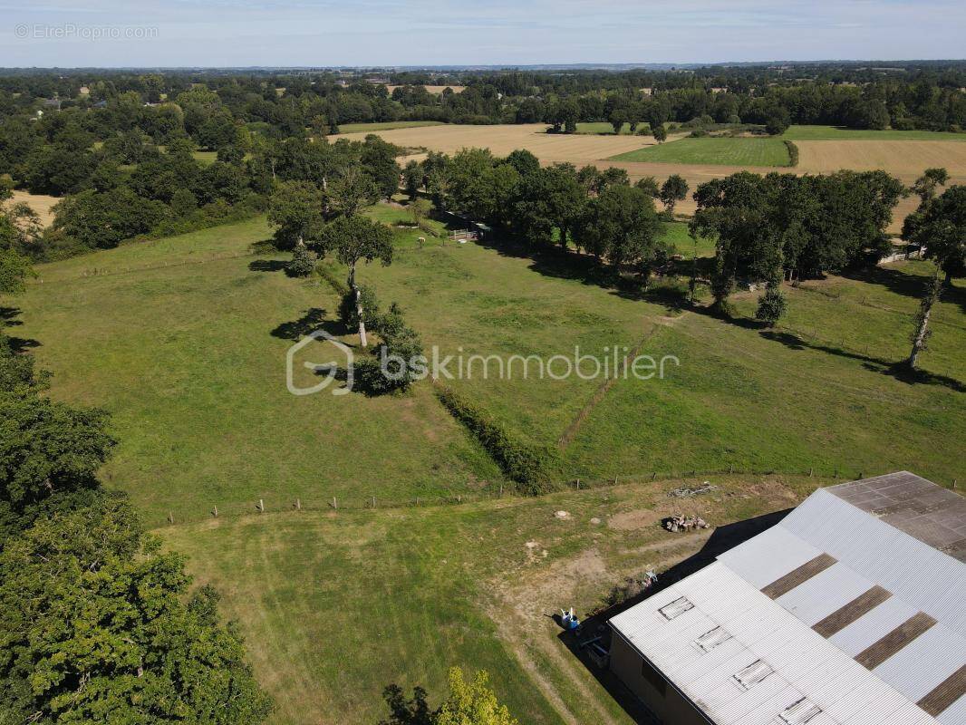 Maison à SENS-DE-BRETAGNE