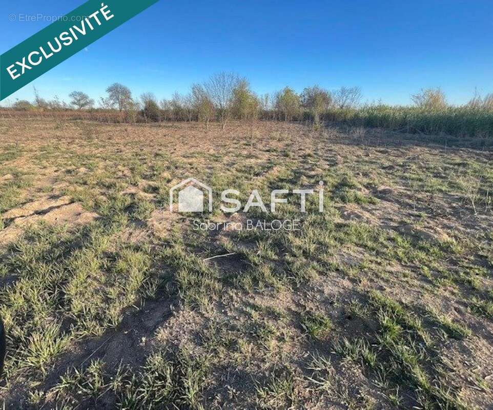 Photo 4 - Terrain à VILLENEUVE-LES-BEZIERS