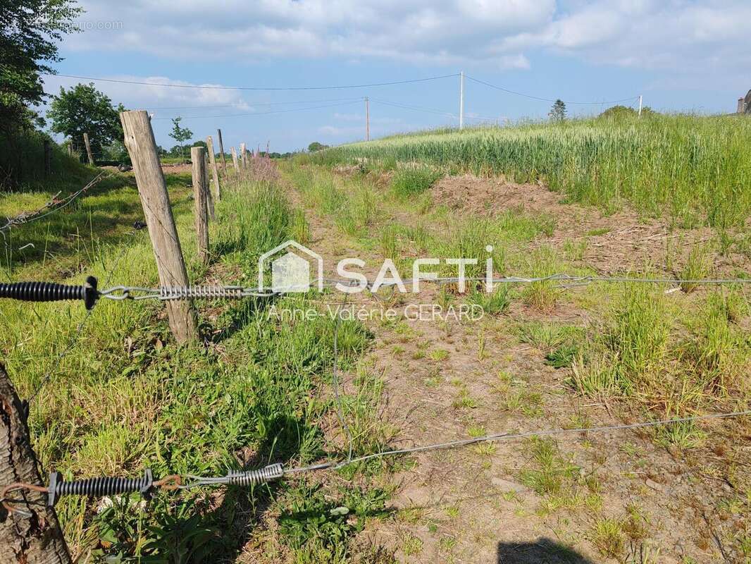 Photo 5 - Terrain à FOUGEROLLES-DU-PLESSIS