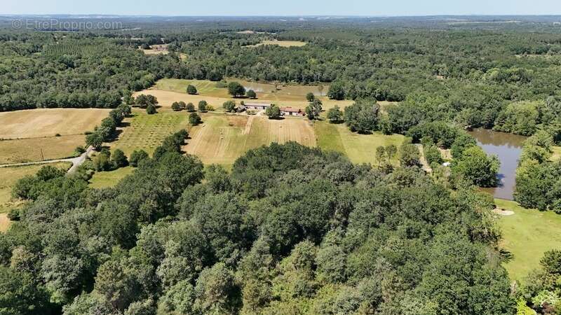 Domaine de 28 hectares avec étang privé, maison, 2 gîtes et plus de 400 m² de dépendances - photo 26