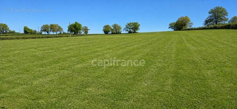 Terrain à SAINT-EMILAND