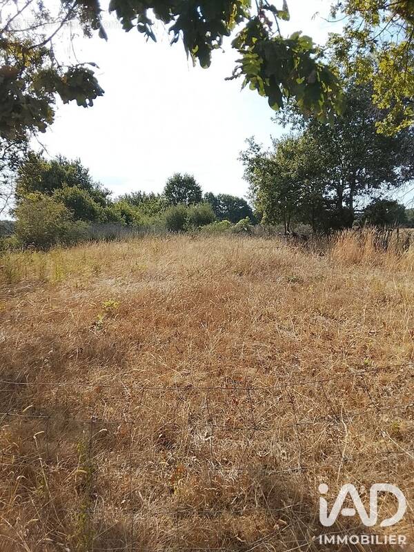 Photo 1 - Terrain à SOULAINES-SUR-AUBANCE