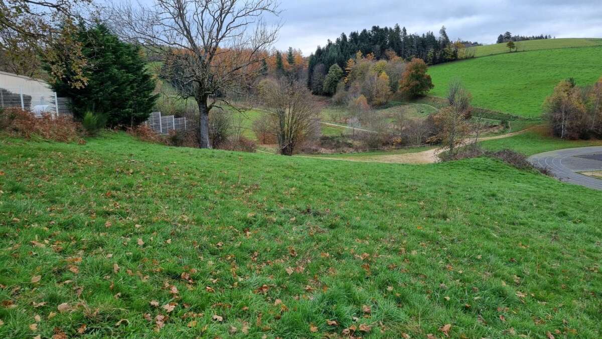 Terrain à SAINT-DIDIER-EN-VELAY