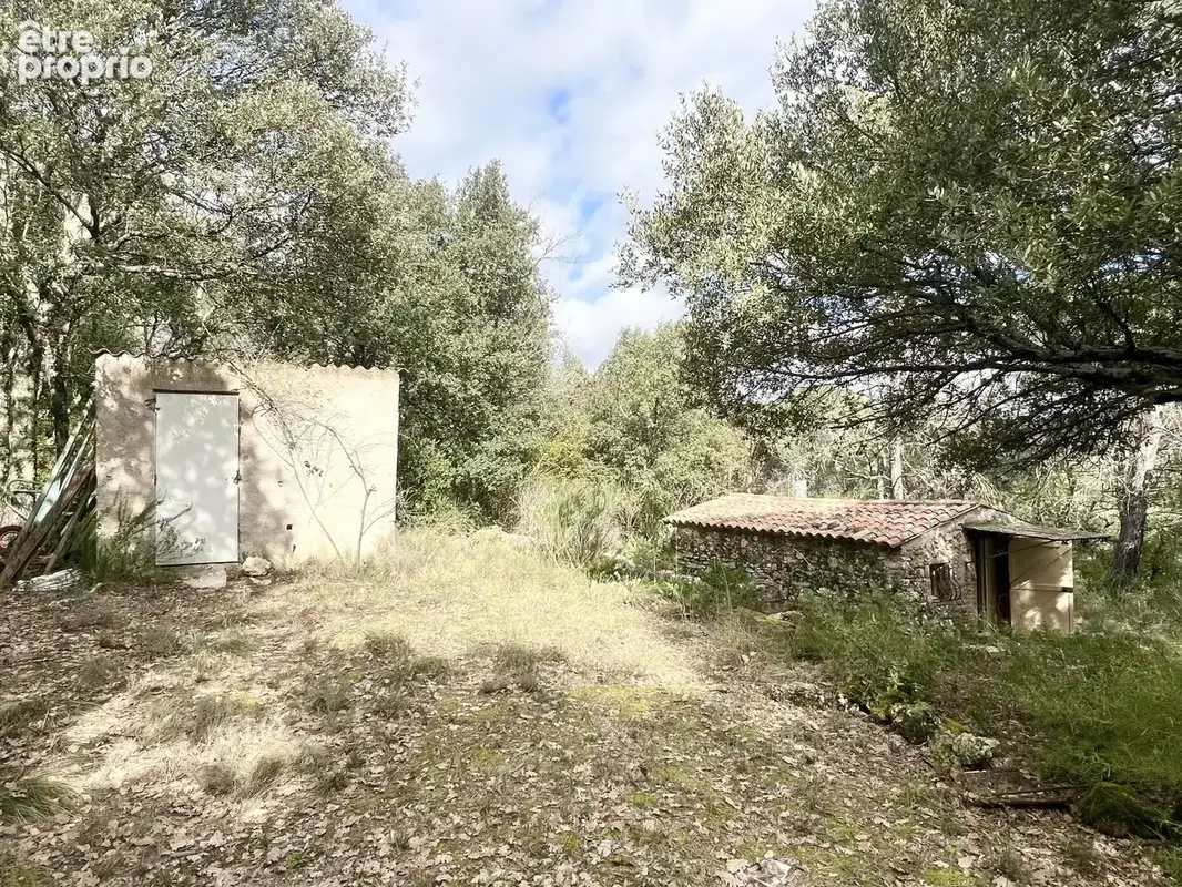 Cabanon sur 10 561 m² de terrain - photo 2