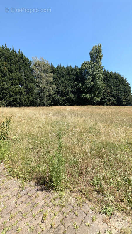 Commerce 865 m² à Nordhouse  - photo 3