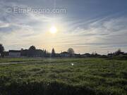 Terrain à ANTONNE-ET-TRIGONANT