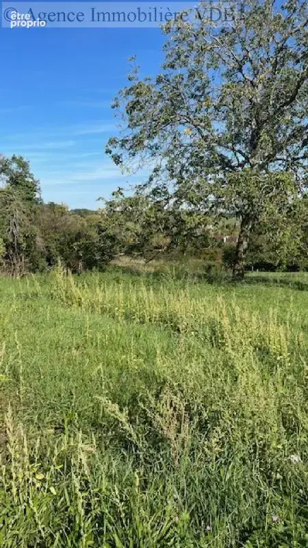 terrain constructible à vendre à BOUXIERES AUX CHENES - photo 5
