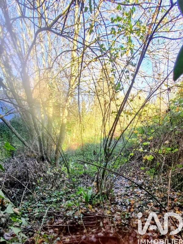 Photo 9 - Maison à SAINT-BERTHEVIN-LA-TANNIERE