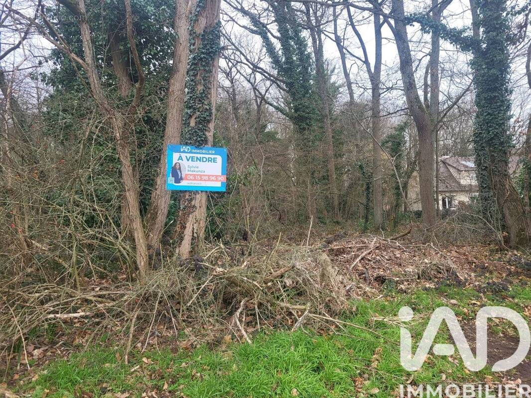Photo 1 - Terrain à SAULX-LES-CHARTREUX