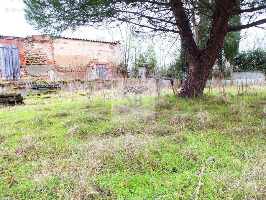 Terrain à PLAISANCE-DU-TOUCH