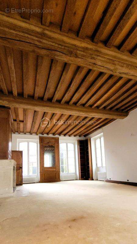 Hôtel particulier au cœur de ville / centre historique - photo 4