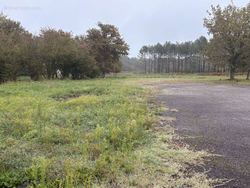 Terrain à PONTENX-LES-FORGES