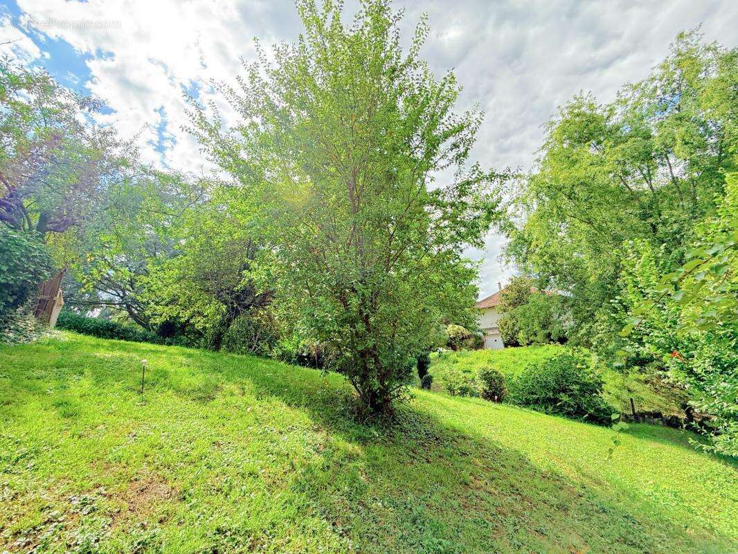 Terrain à batir - 619 m² - Francheville - photo 3