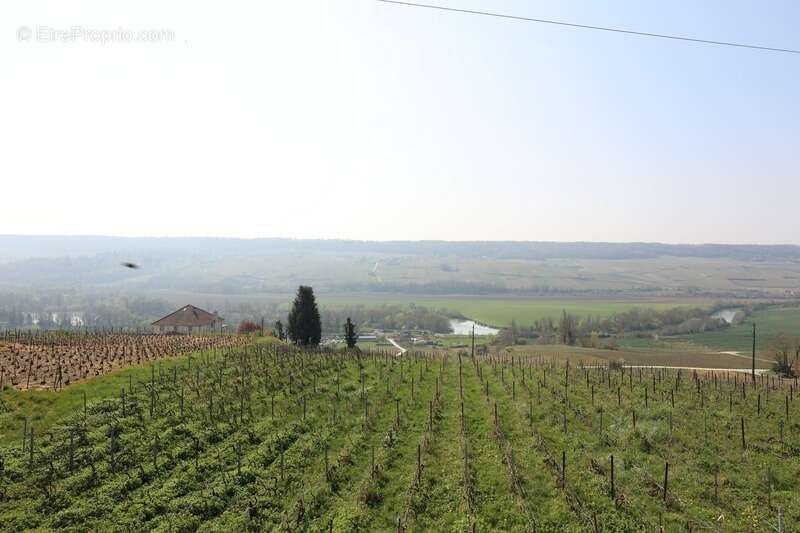 VENTEUIL(51) Maison à vendre 8 pièces avec une vue exceptionnelle sur le vignoble de la vallée de la marne - photo 25