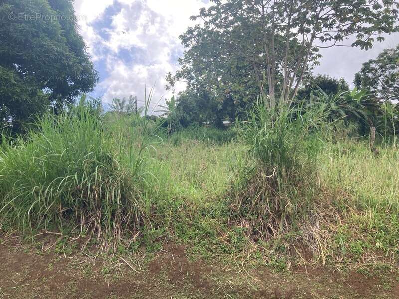 Terrain à SAINT-ESPRIT