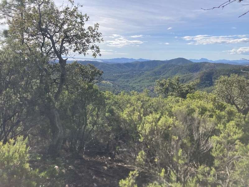 Terrain à BORMES-LES-MIMOSAS