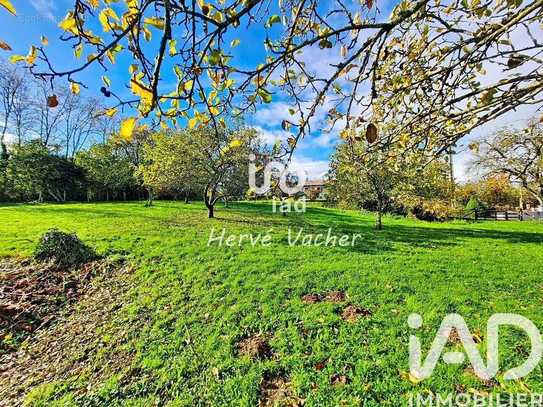 Photo 5 - Terrain à BUELLAS