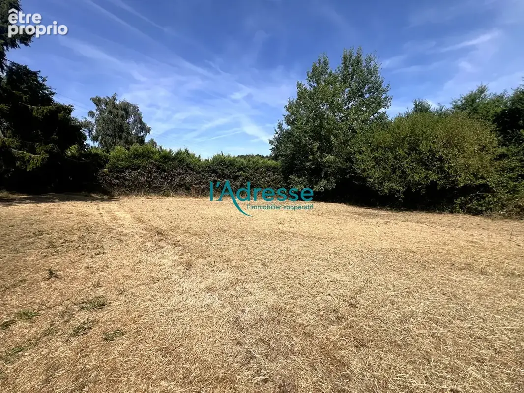 Maison en pierre avec dépendances et 2 150 m² de terrain - photo 12