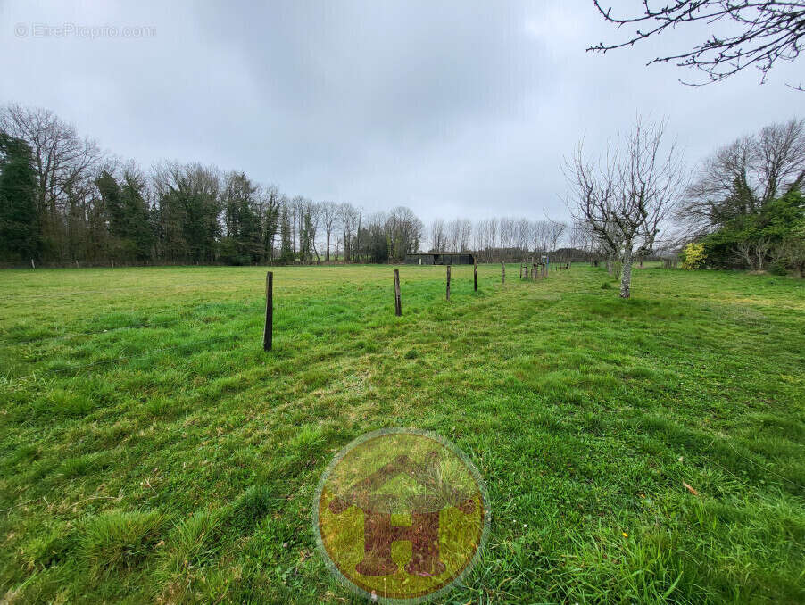 Maison à SAINT-JUNIEN