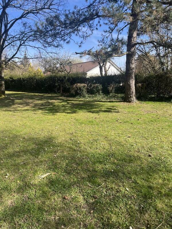 Terrain à GUIBEVILLE