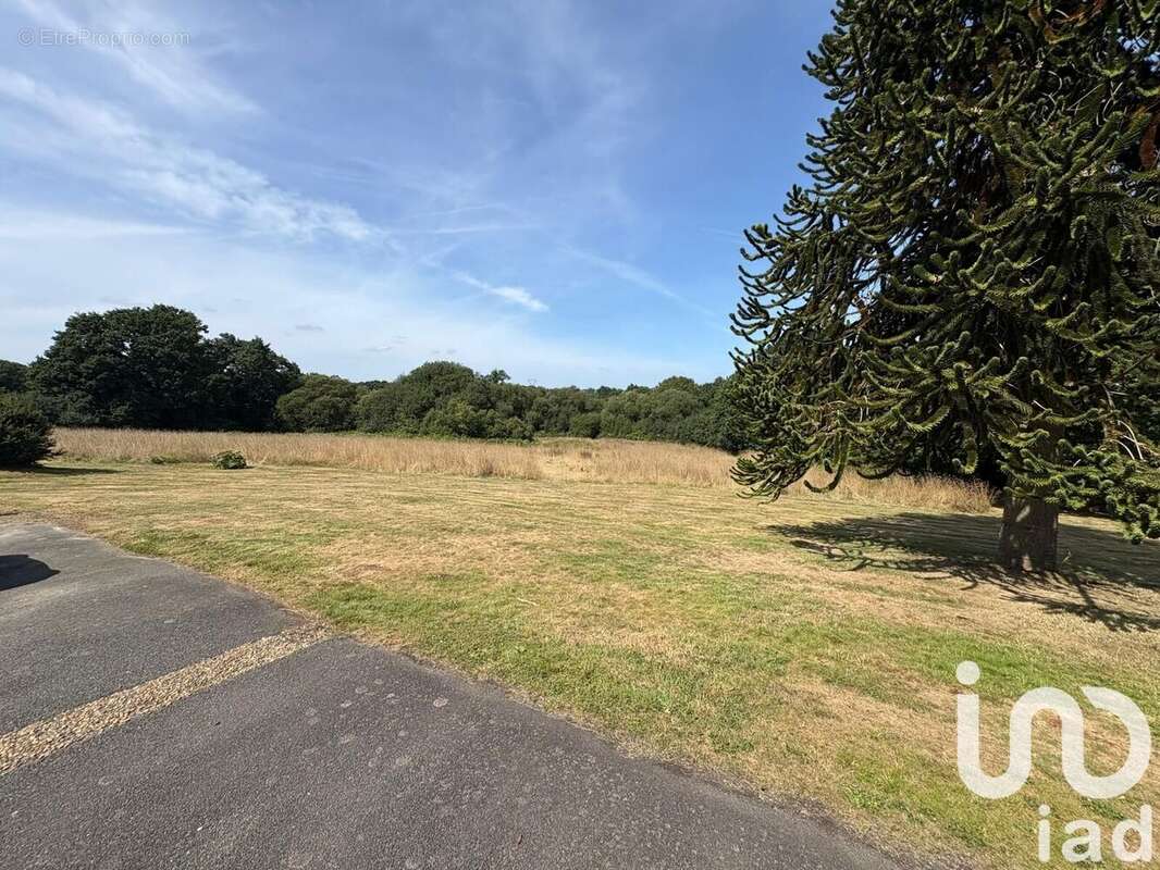 Photo 4 - Maison à PLESIDY