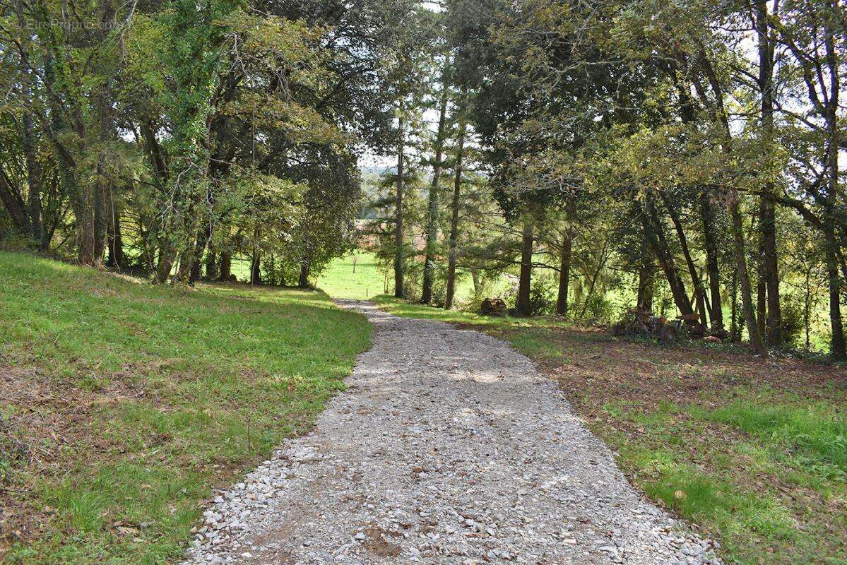 Corps de ferme Cenac et Saint Julien - photo 11