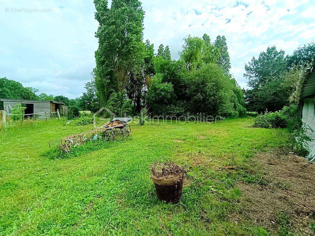 Maison familiale de 207 m² sur 7 120 m² de terrain – Calme absolu à Mandeville En Bessin - photo 17