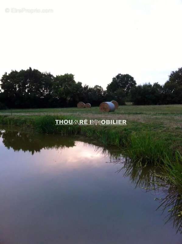 Maison à SAINT-ETIENNE-DE-MONTLUC